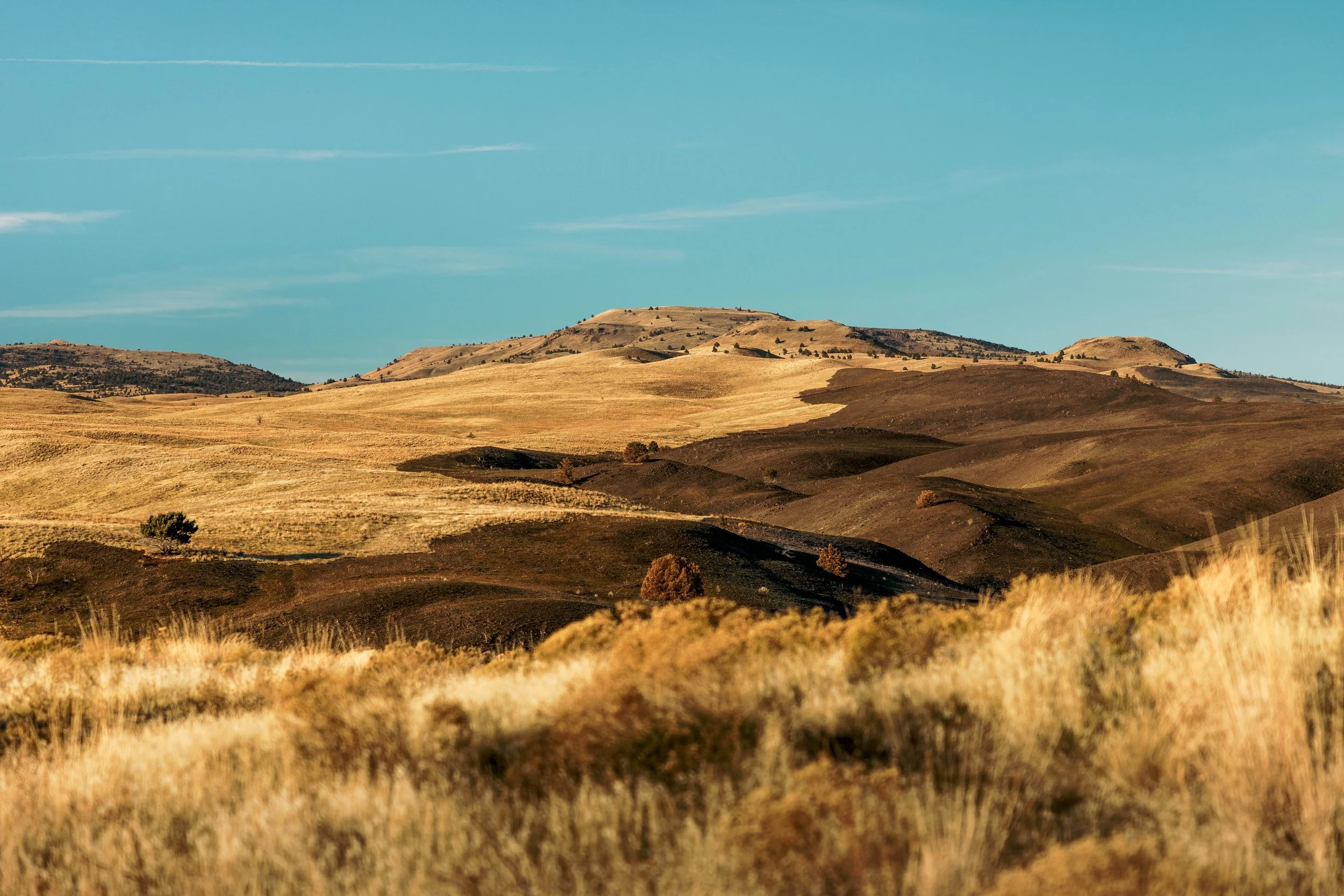 SBC Landscapes-14.jpg