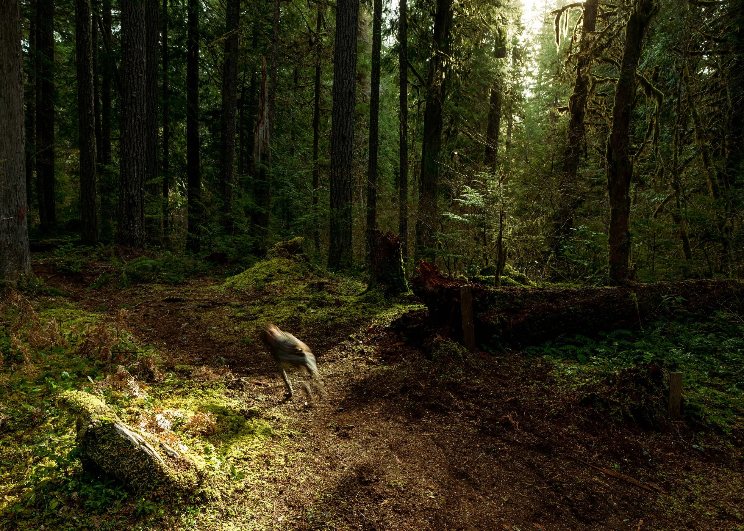 Sage Clack Trip-7.jpg