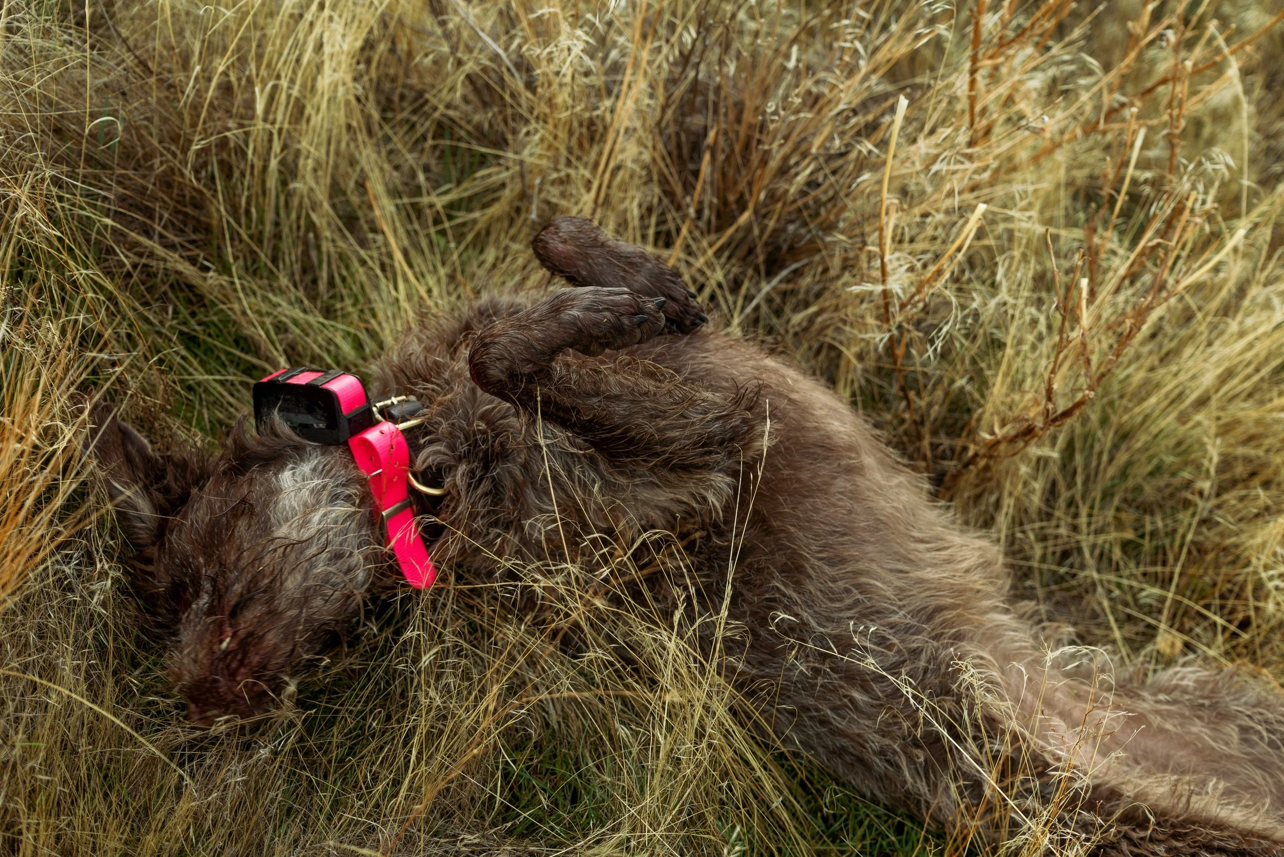 SBC Field Shots-27.jpg