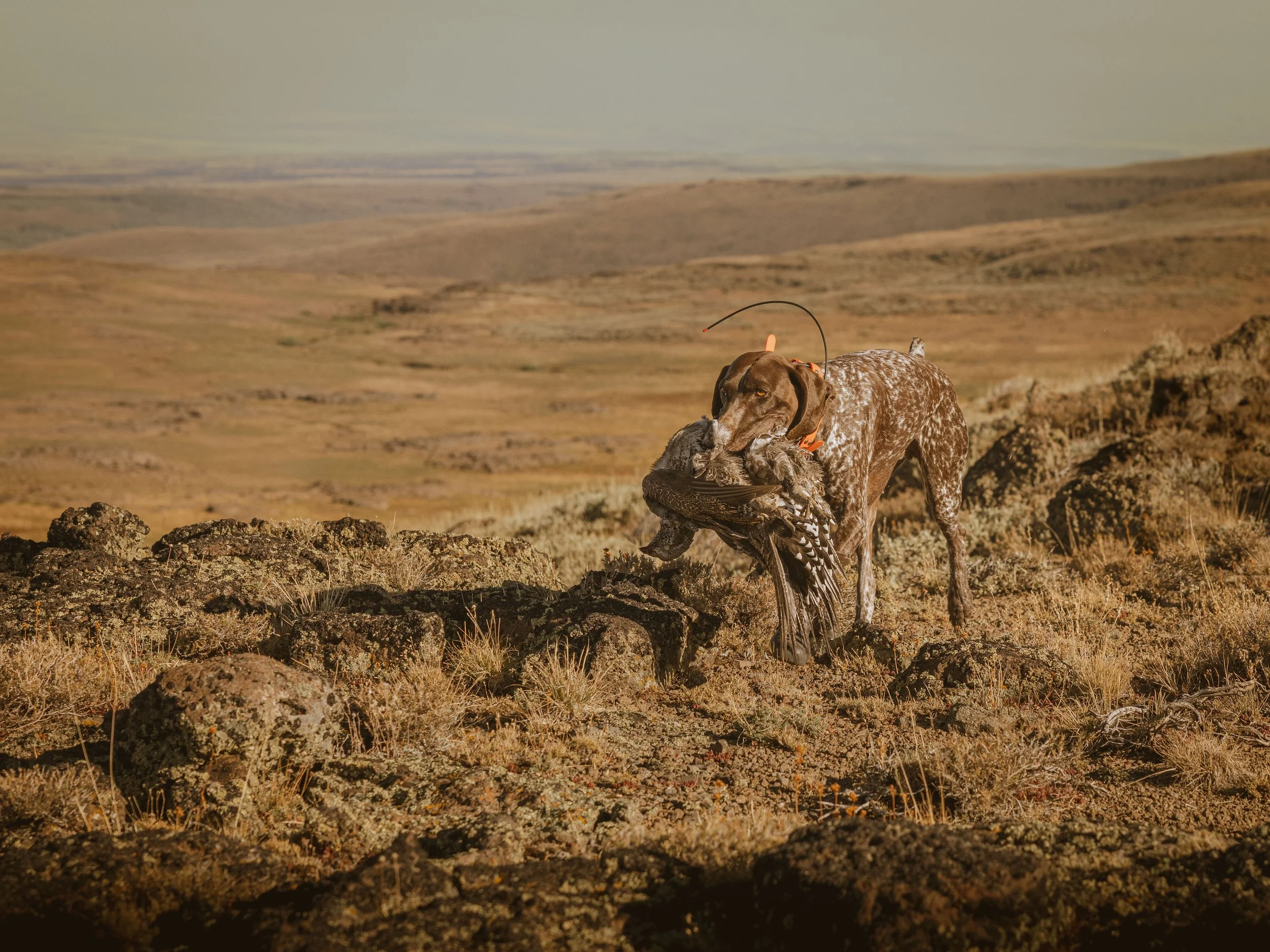 SBC Field Shots-10.jpg