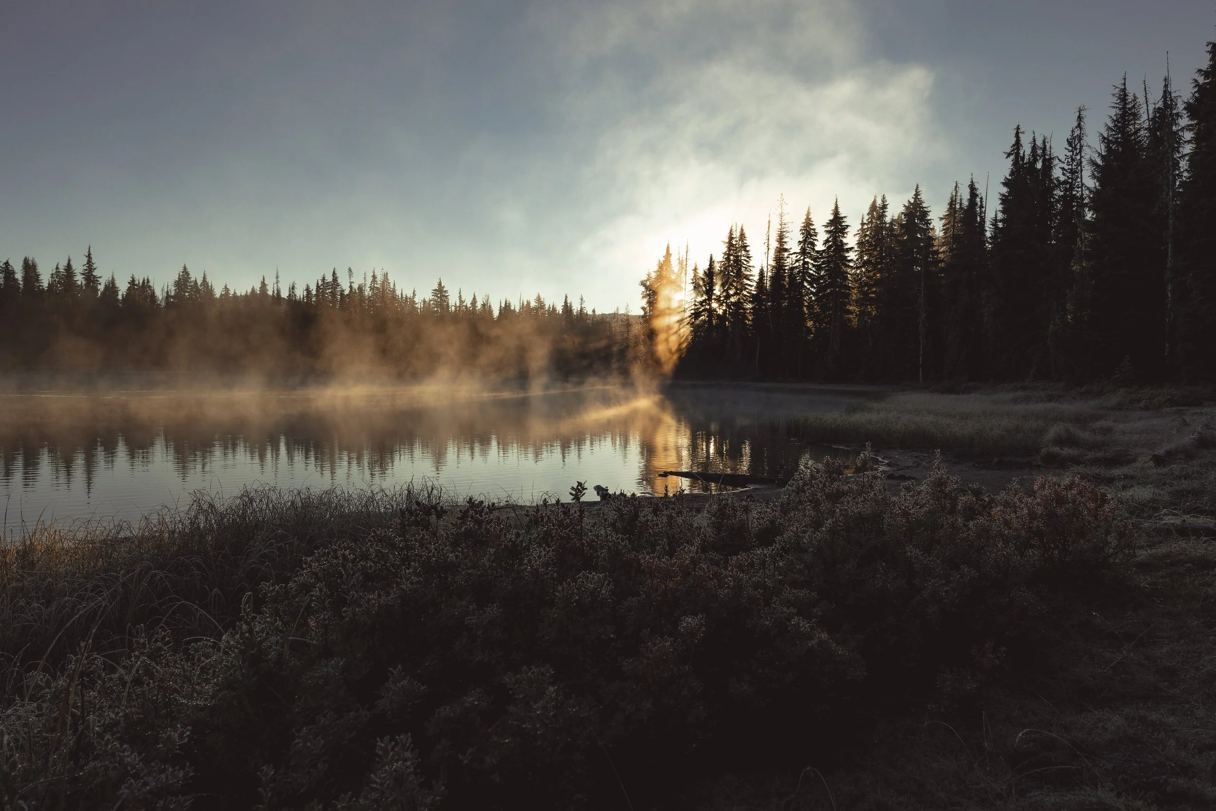 SBC Landscapes xx2.jpg