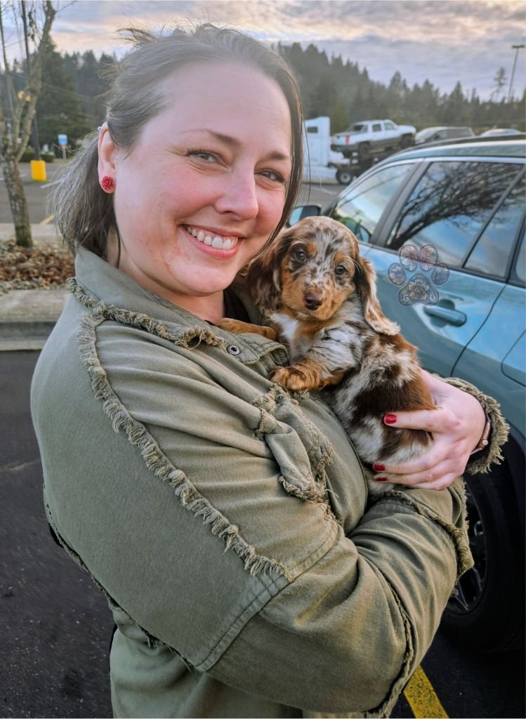 dachshund breeder in Oregon