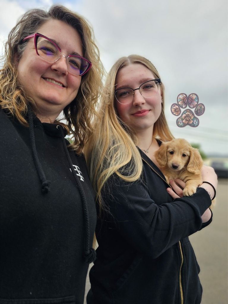 dachshund breeder in Oregon