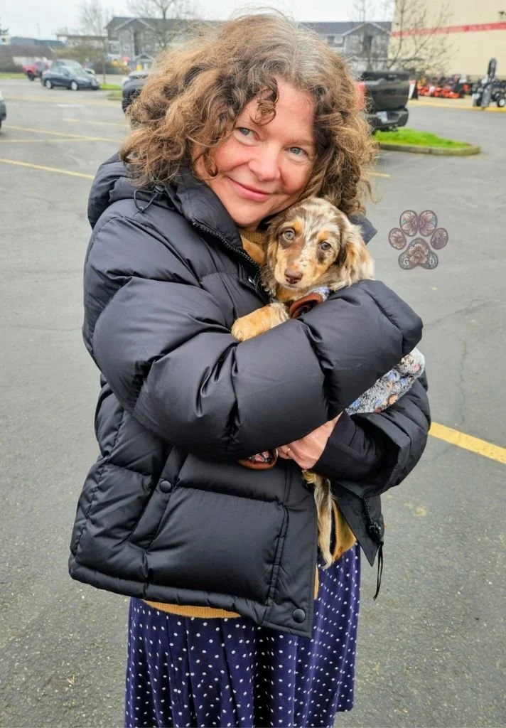 dachshund breeder in Oregon