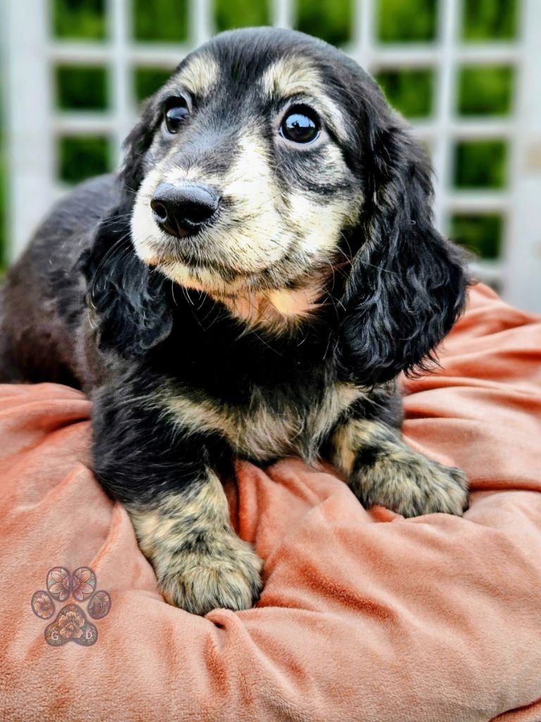 Untitled design (60).jpg