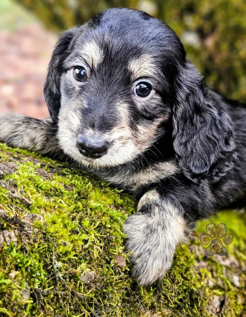 Untitled design (49).jpg