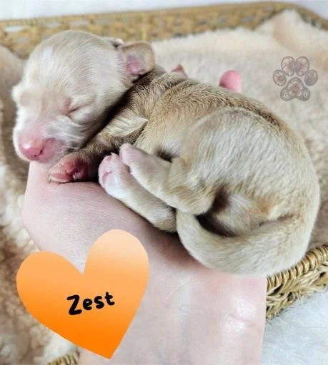 Untitled design - 2026-04-28T115919.788.jpg