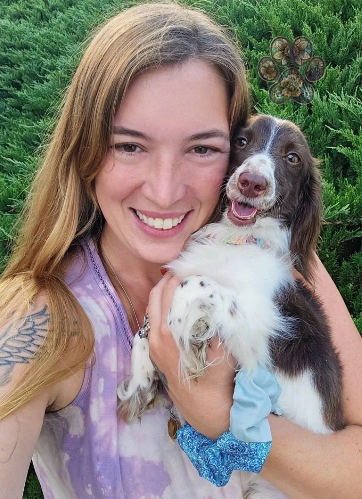 long-haired mini dachshund breeder in Oregon
