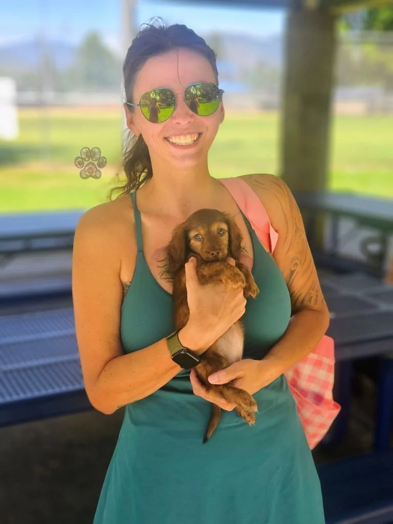 mini dachshund breeder in Oregon