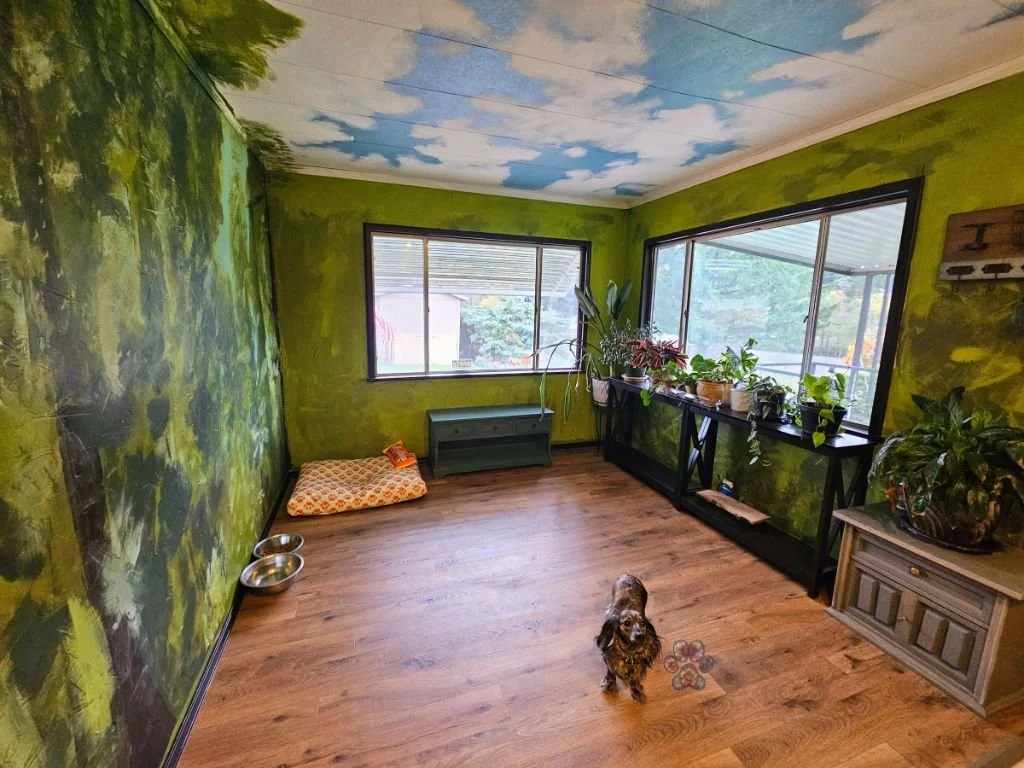 long haired dachshund breeder