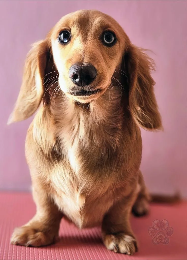 Untitled design (86).jpg