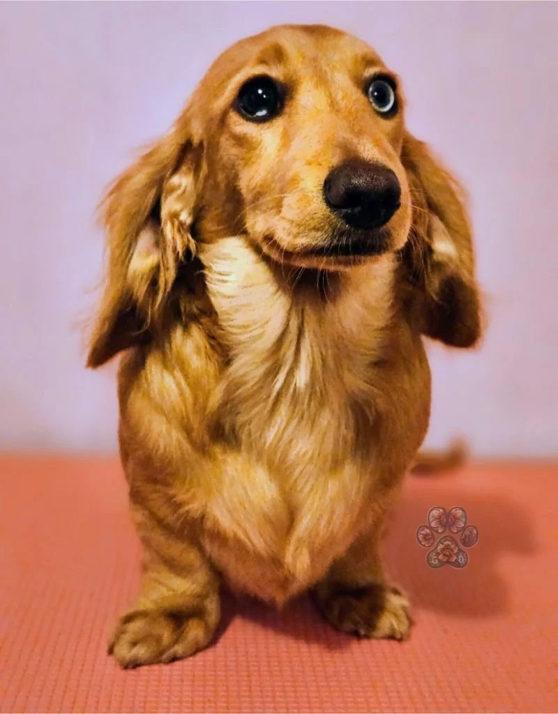 Untitled design (92).jpg