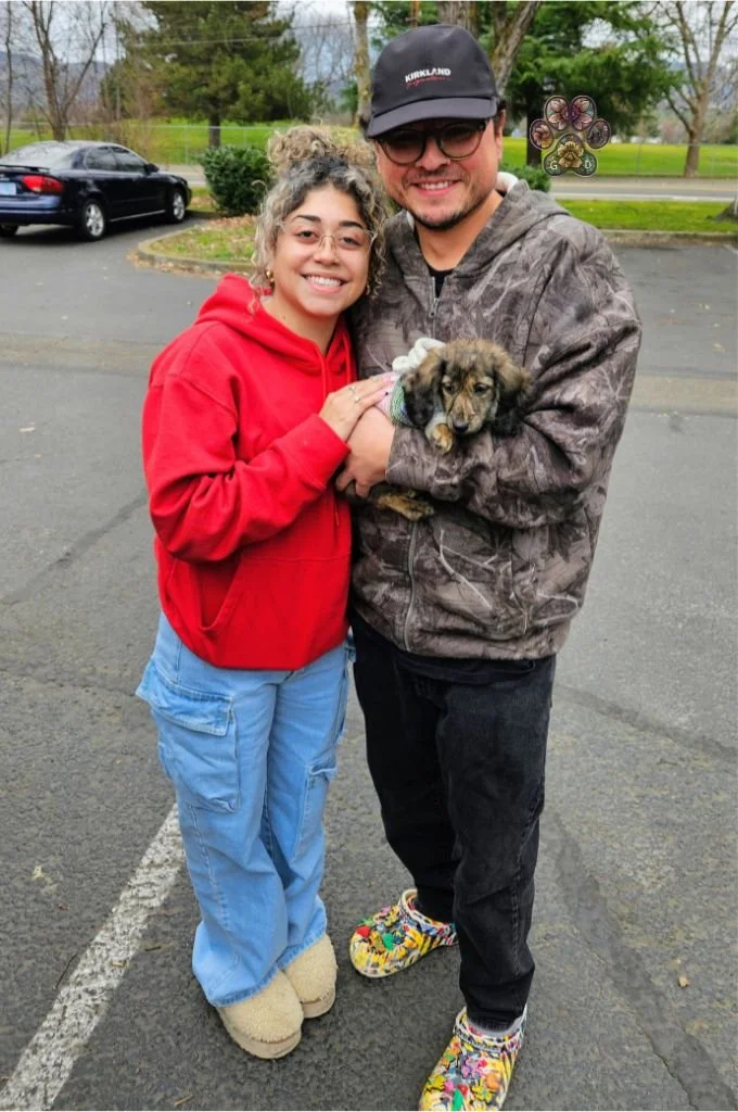 mini dachshund breeder in Oregon