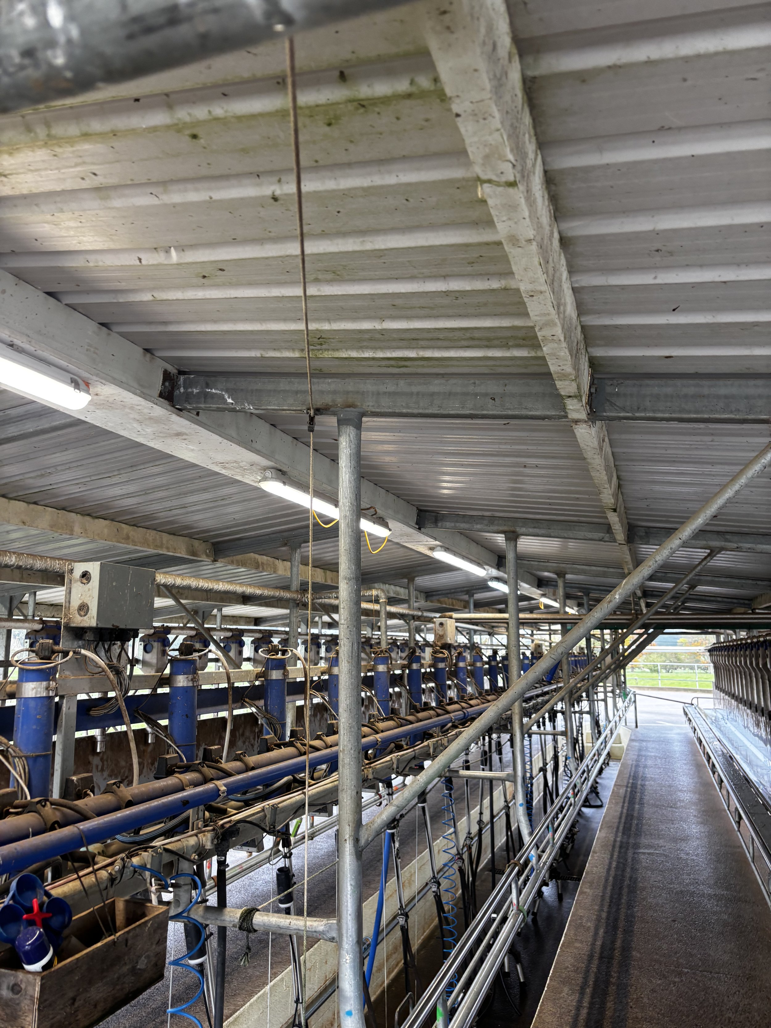 Inside a poultry farm with machinery and equipment for chicken farming, including metal pipes and feeders on a walkway.