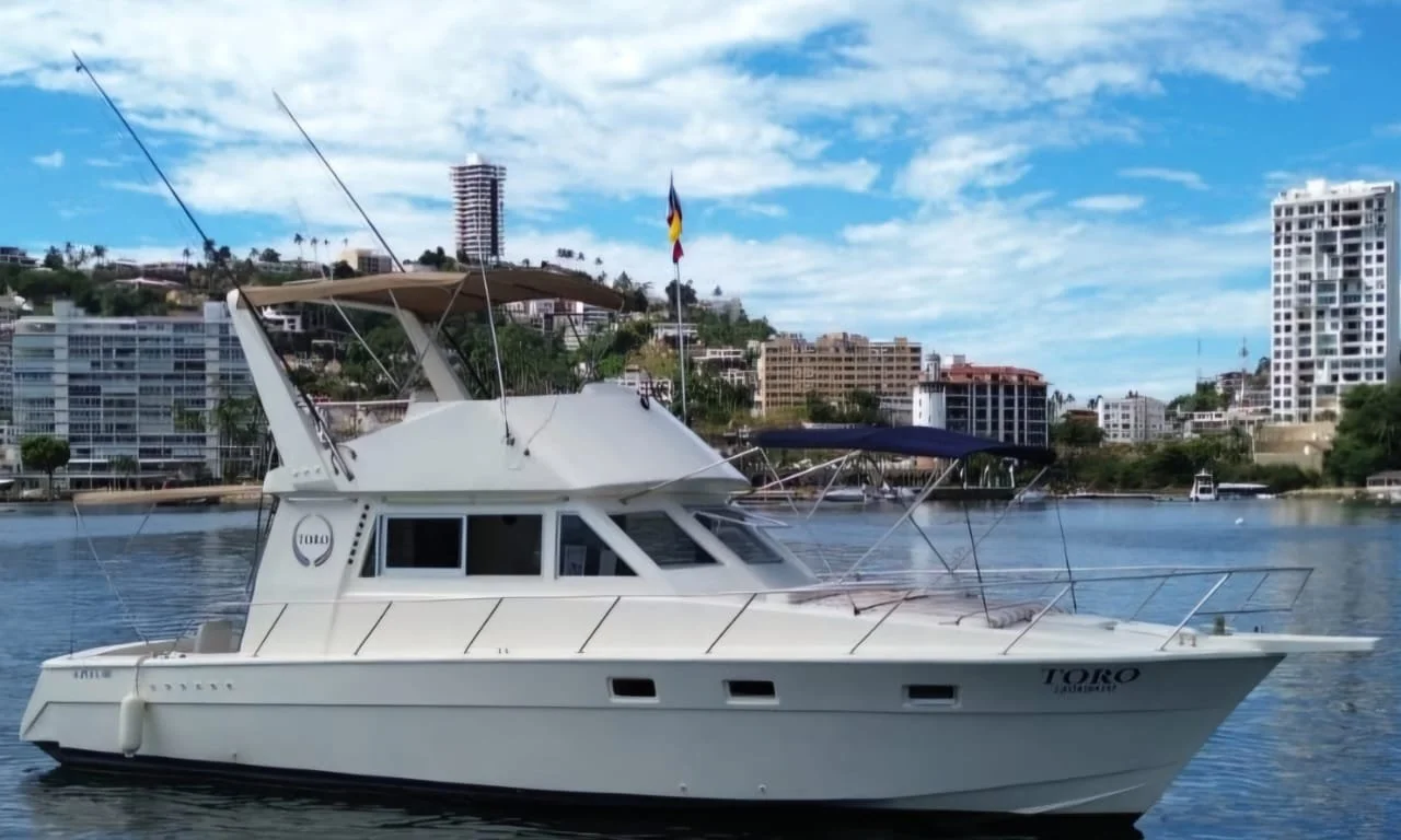 White motor yacht named Toro docked on a body of water with city buildings and a partly cloudy sky in the background.