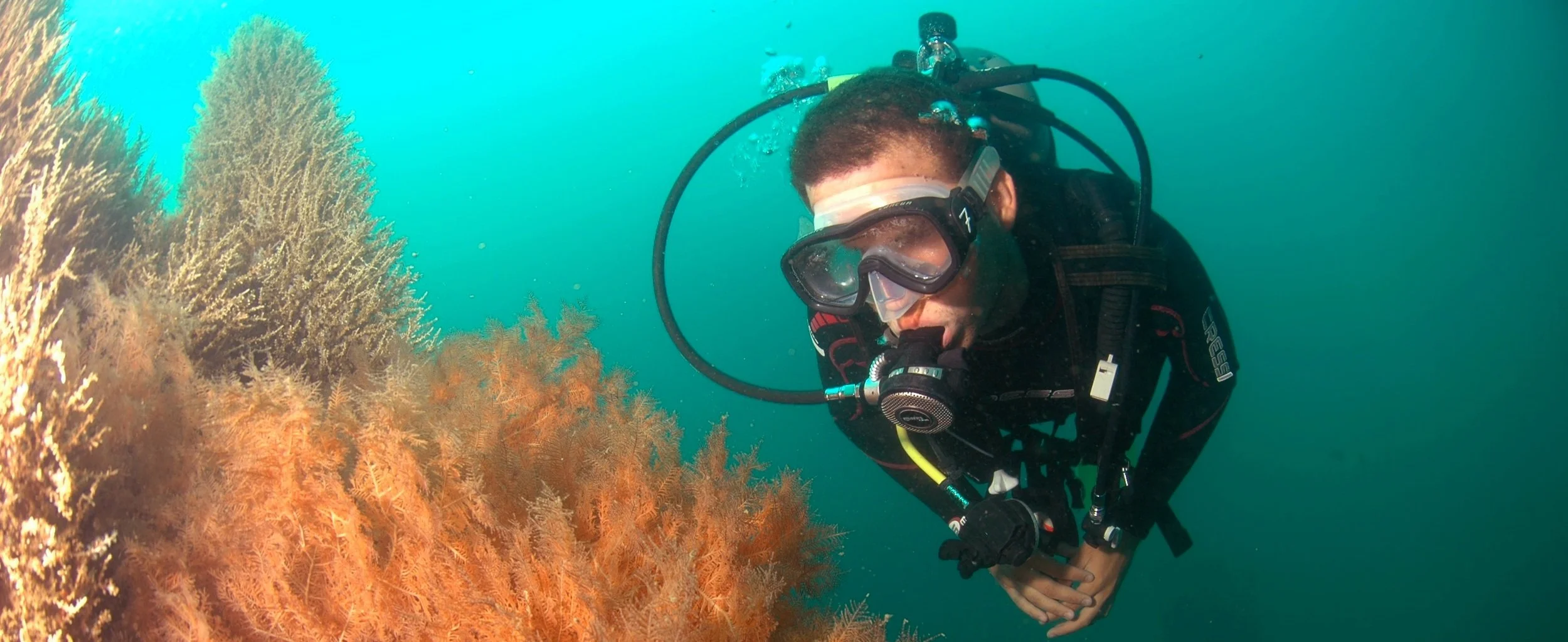 Diver in black wetsuit and scuba gear swimming near orange coral underwater.