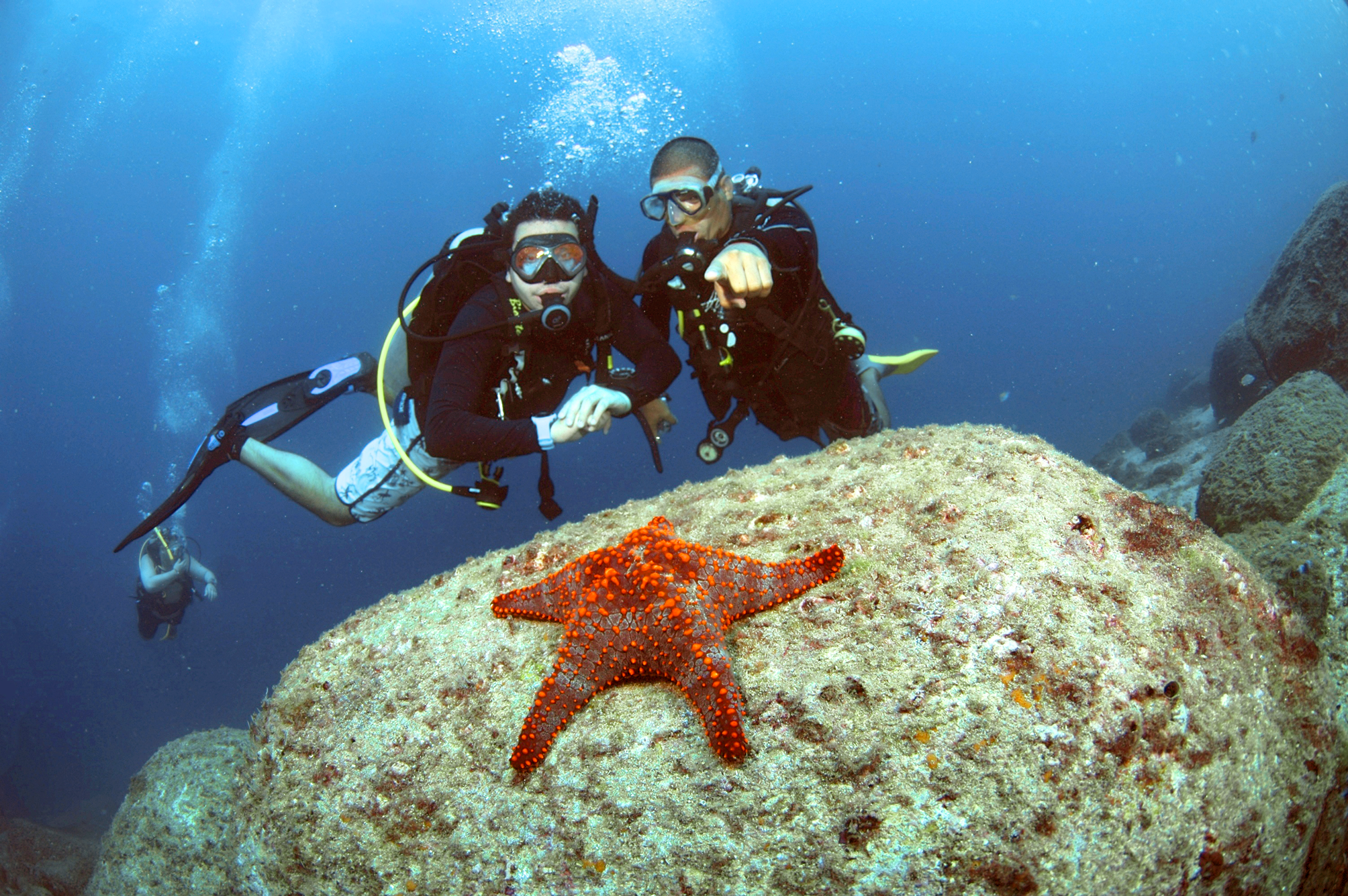Two scuba divers underwater pointing towards a bright orange starfish on a large rock surrounded by other rocks and blue ocean water.