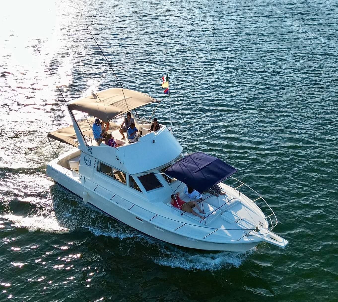 A white yacht with a blue canopy on the bow sailing on the ocean, carrying several people on the deck, some sitting and some standing, with a flag flying at the stern and the sun reflecting off the water.