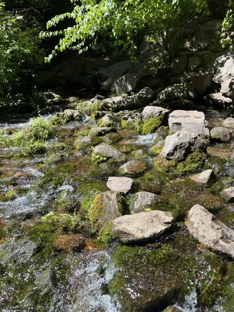 Restorative Justice 101