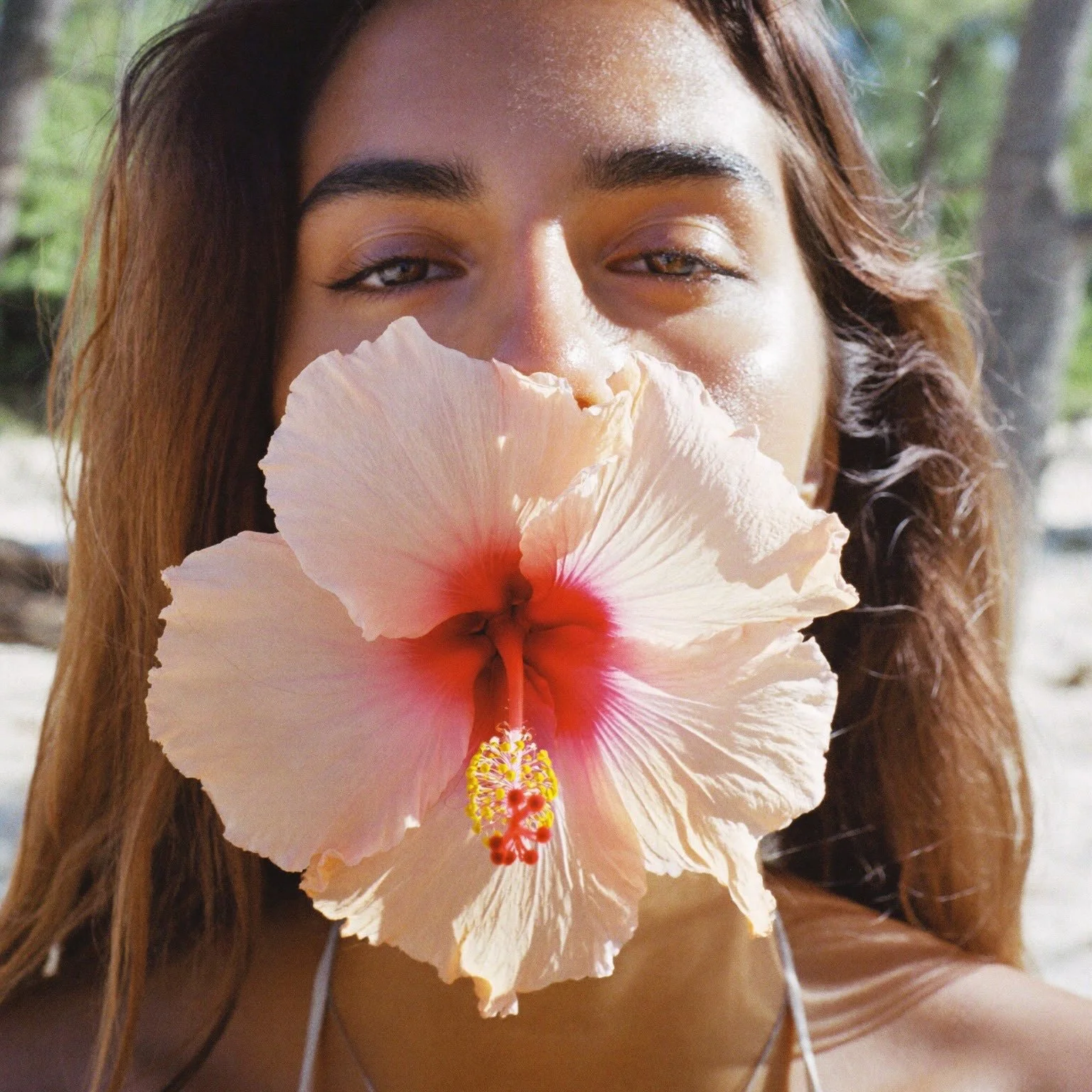 Monday Muse: hibiscus 🌺

Strengthening. Shine boosting. Scalp loving. Centuries of hair wisdom in one flower and the whole reason our formula starts here.

#haircare #fyp #miamiwellness #altonhaircare #scalphealth