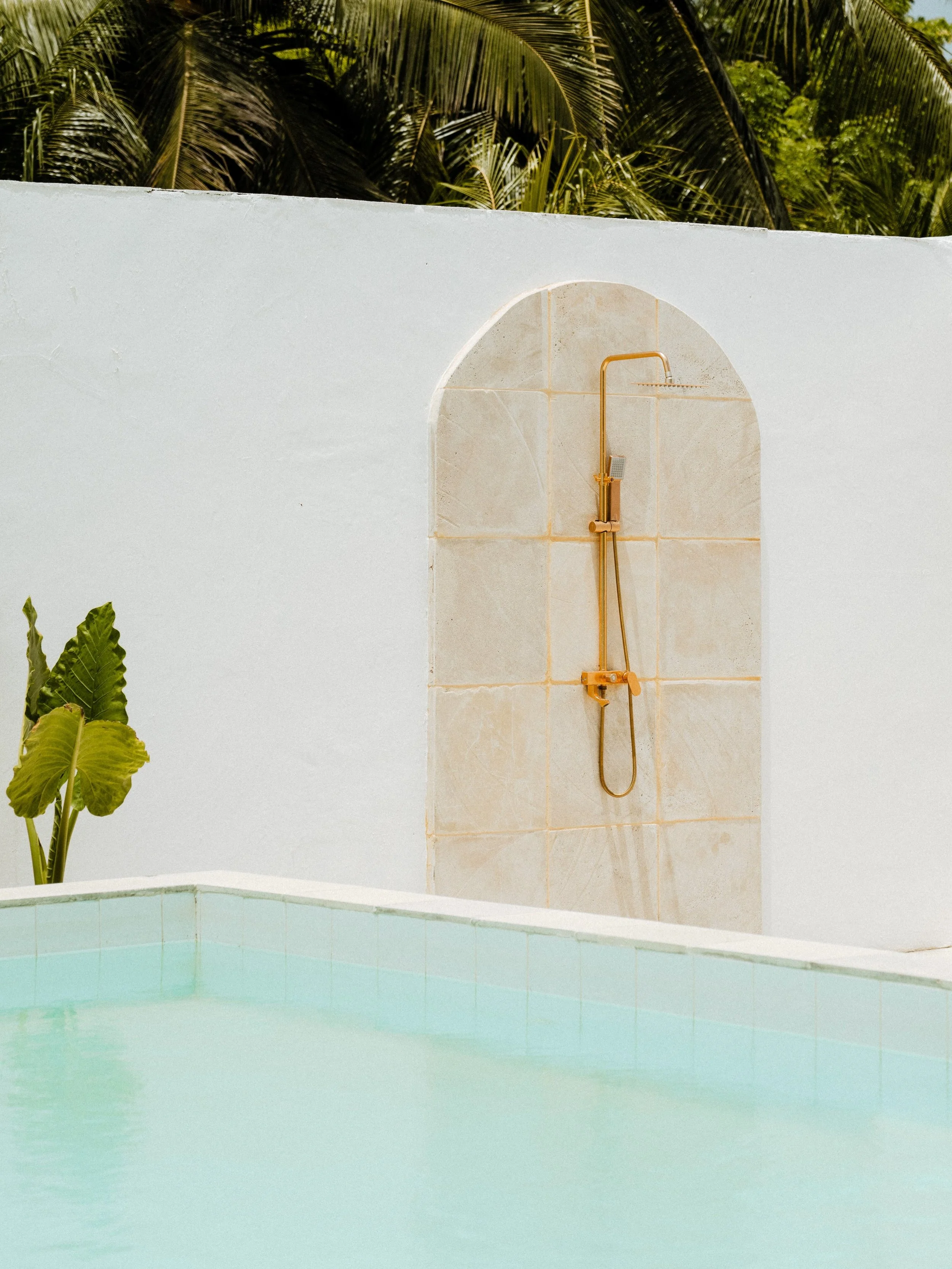 This looks like the perfect place to wash hair 😃
Dream shower💦🌴🌺

#fyp #dreamshower #hairloss #scalphealth #miamiwellness