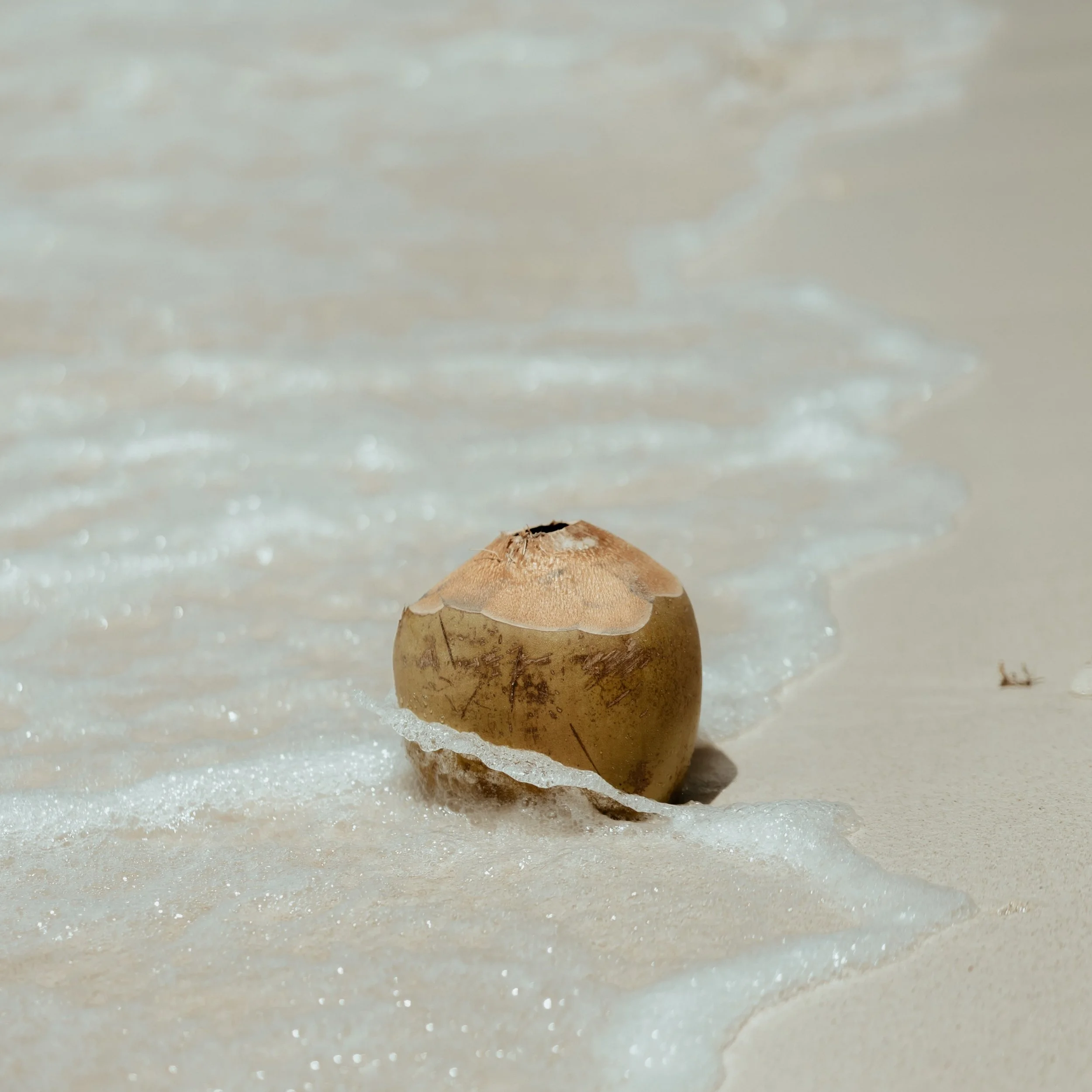 Lightweight hydration inspired by nature.🥥

Coconut water has become a favorite ingredient in haircare because it helps support softness and manageability without weighing hair down.

Healthy hair doesn&rsquo;t need heavy formulas.

It needs thought