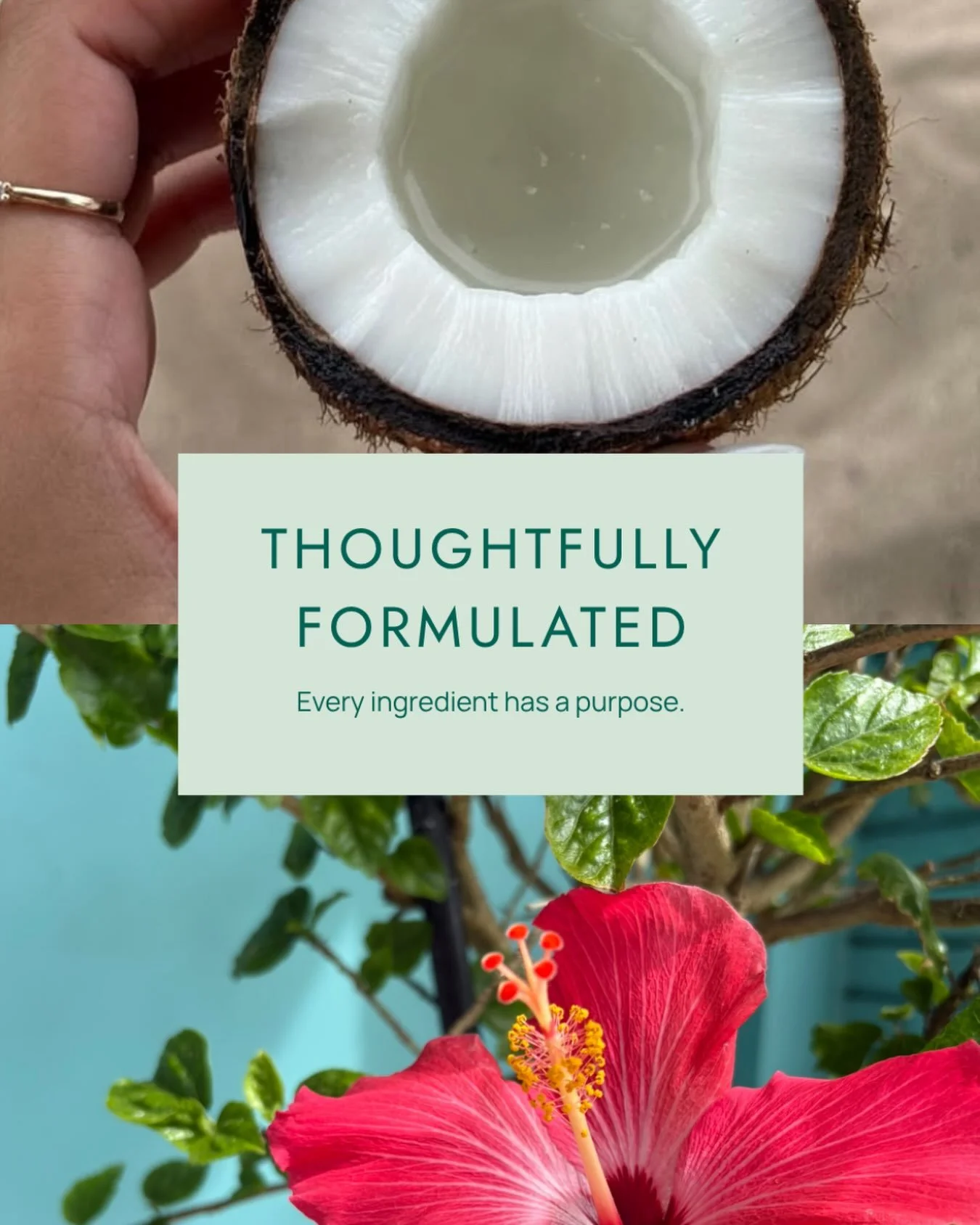Why Botanical Ingredients?

Nature doesn&rsquo;t need to be complicated.

Plants have supported healthy hair for generations.

That&rsquo;s why we focus on thoughtfully selected botanical ingredients that work with your routine&mdash;not against it.
