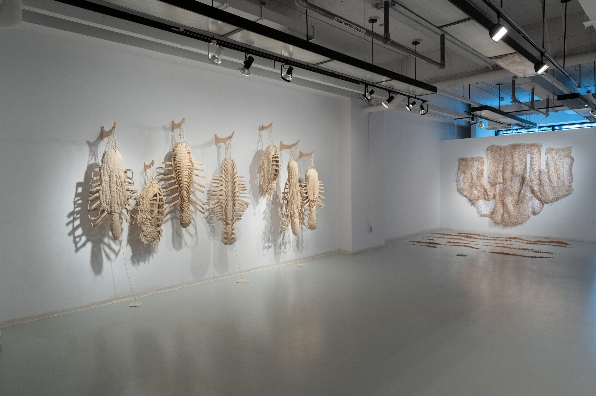 Art exhibition, Contemporary textile arts, art instillation, Tina Marais