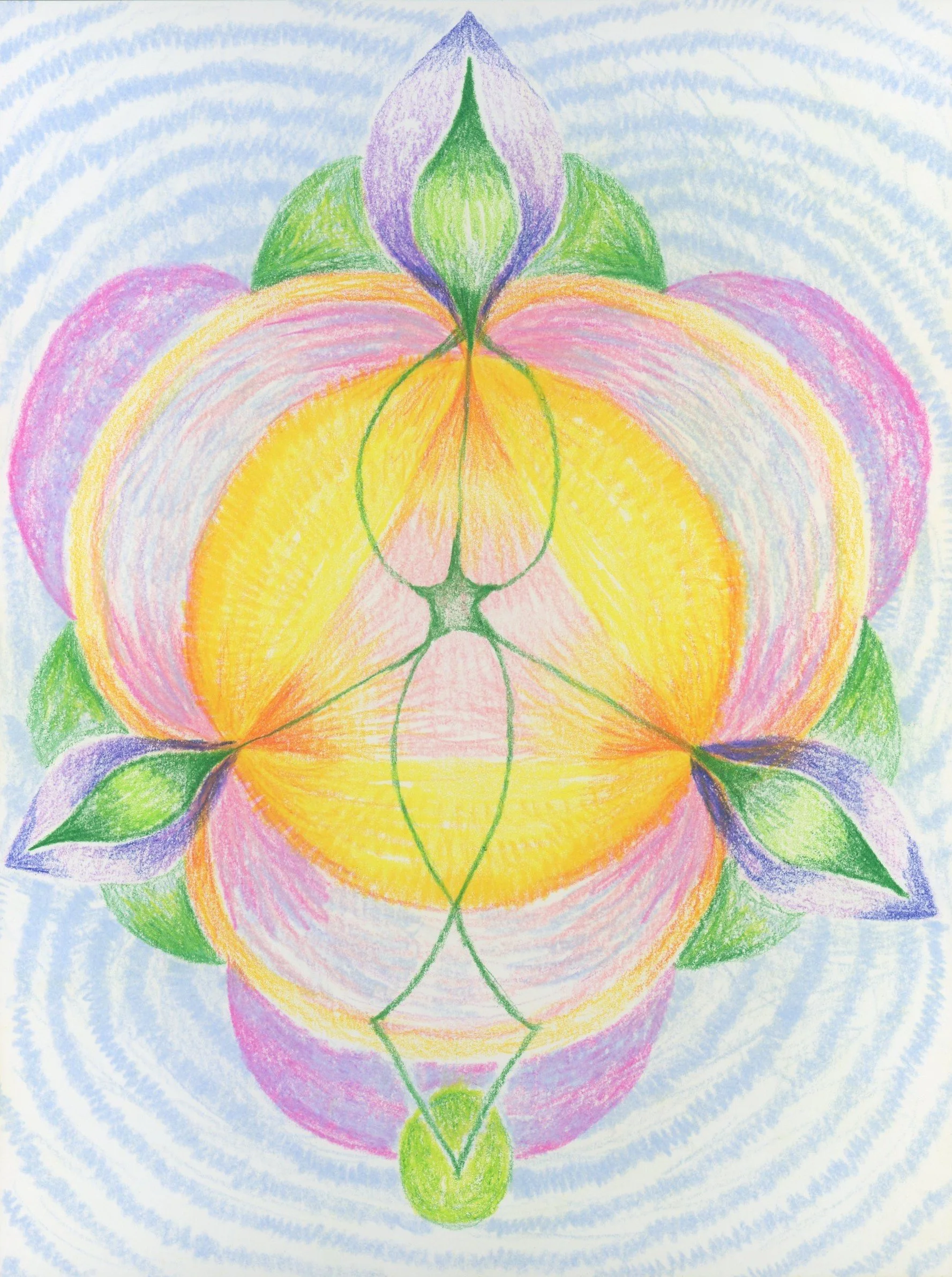 She Opens, 8x6 inches, colored pencil on paper, 2026