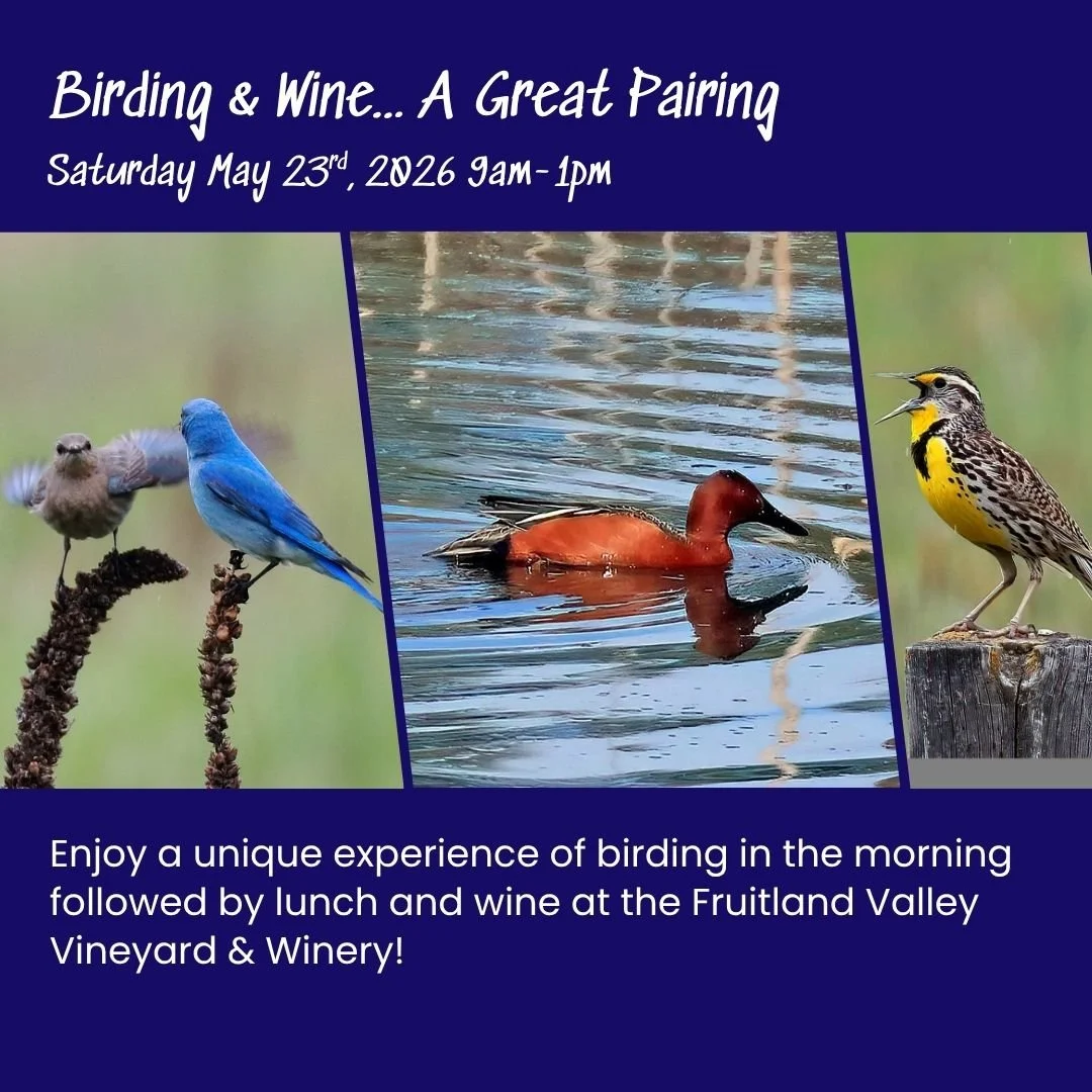 Birding and Wine… A Great Pairing