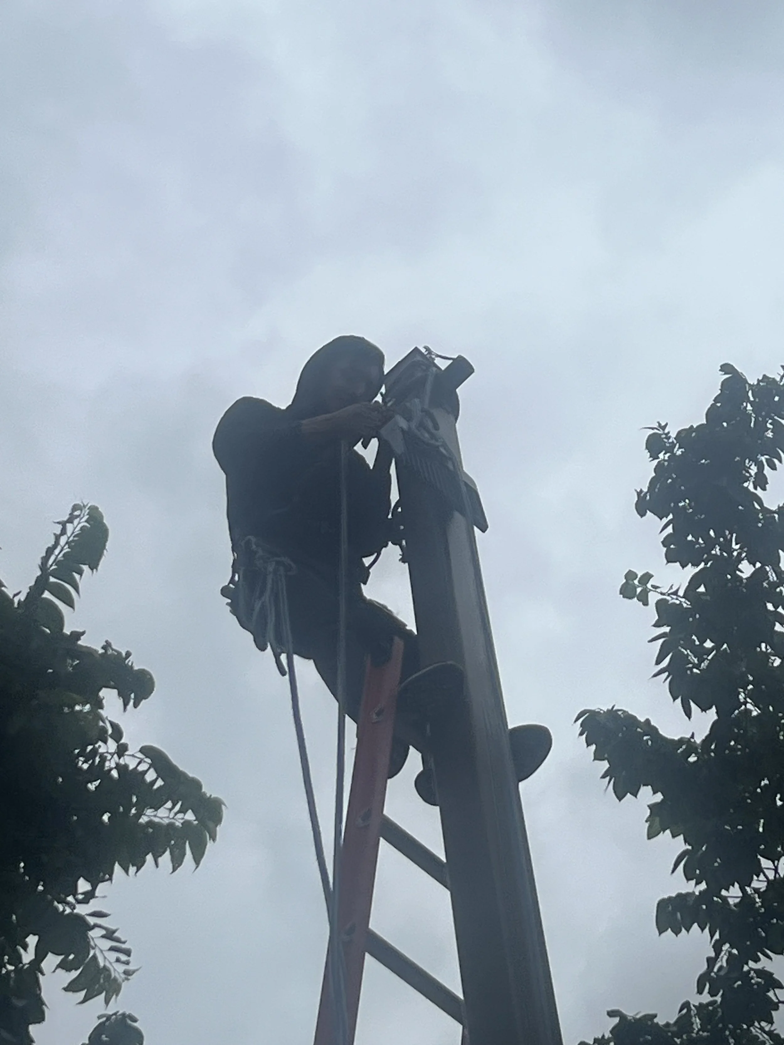 A worker standing on a ladder, working on a utility pole against a cloudy sky.