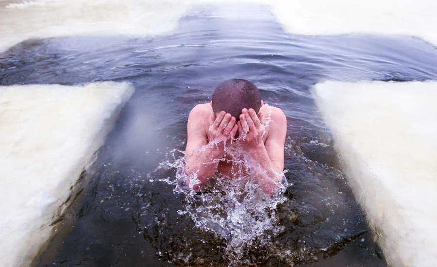 Theophany Polar Plunge