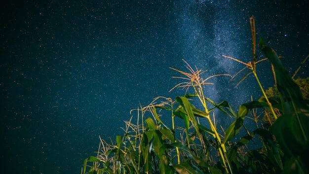 Unseen realm stargazing