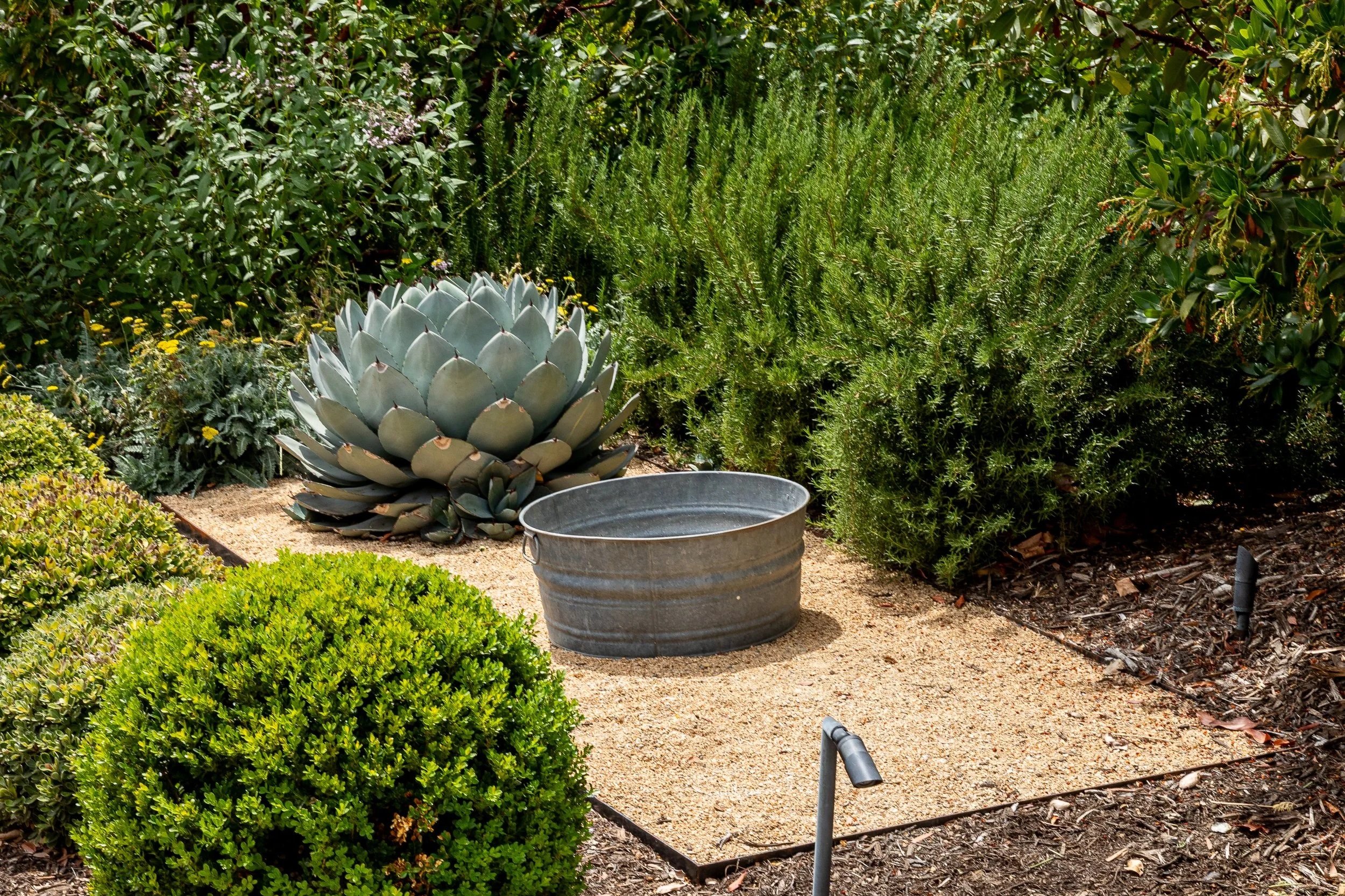 Drought-Tolerant Landscaping in California: What Homeowners Need to Know in 2026