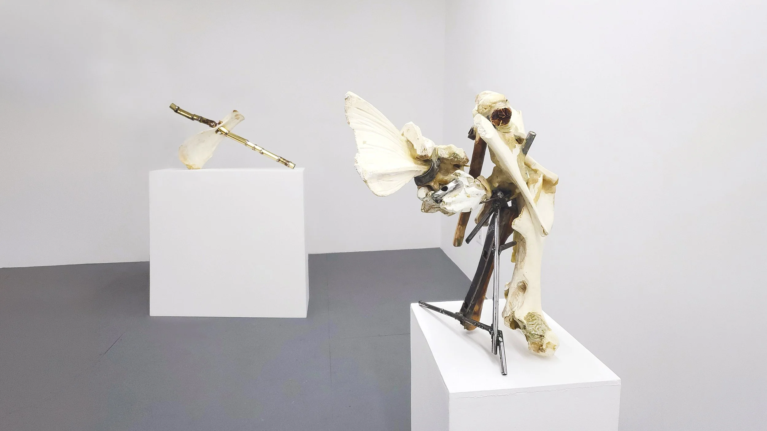 Yasue Maetake Transmutation gallery installation: two non-representational sculptures of animal bones and metal on white pedestals, a complex vertical bone and metal form in the foreground and a bone with long brass rod behind it