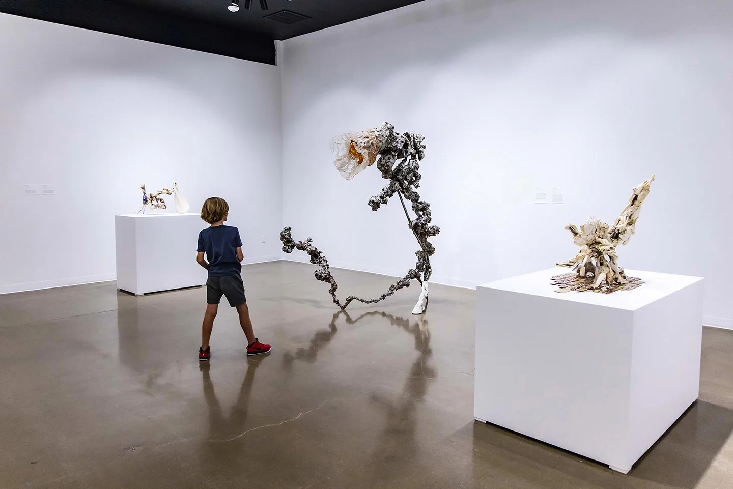 GROUP Exhibition: “Wonderland”, Kimball Art Center, Park City, UT, August 26  – November 27, 2022