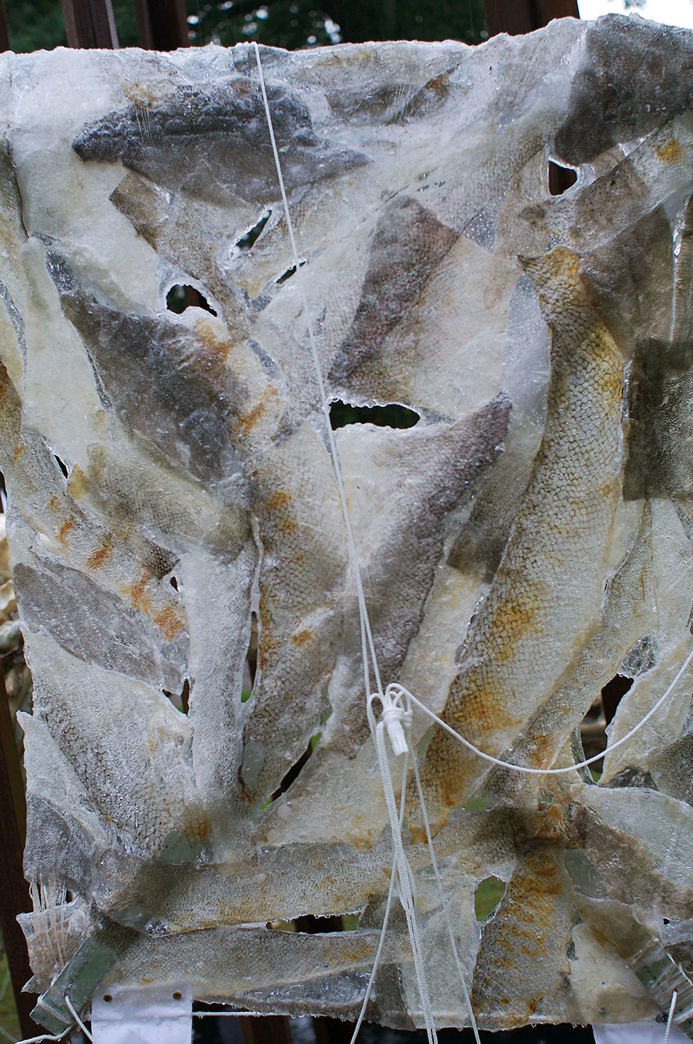 A large, roughly rectangular piece of ice with holes and cracks, some parts appearing cloudy and others clear, with a snake pattern faintly visible on the right side, held in place by ropes and wires.