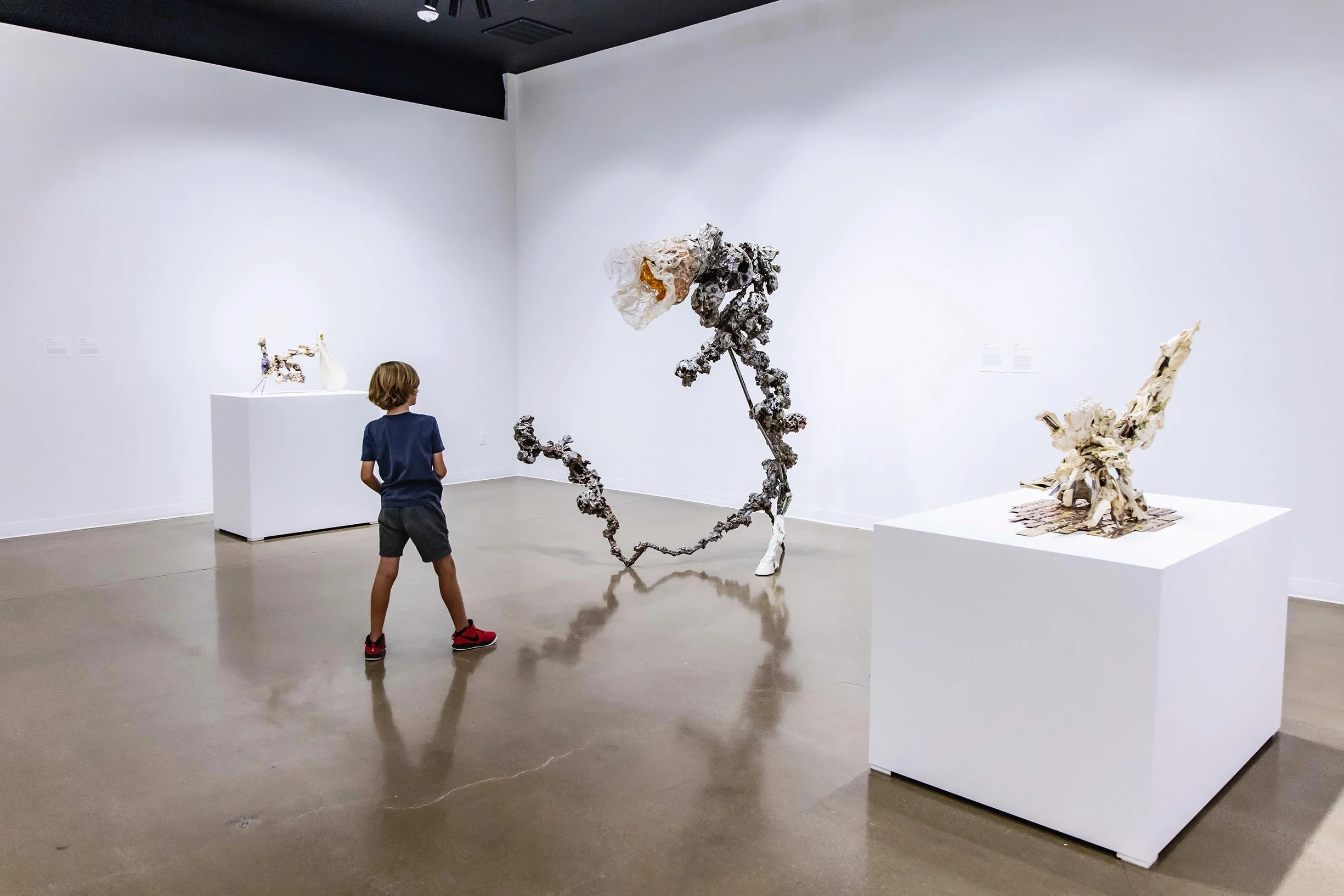  Installation view   Wonderland    August 26, 2022 – November 27, 2022  Kimball Art Center, Park City, UT  