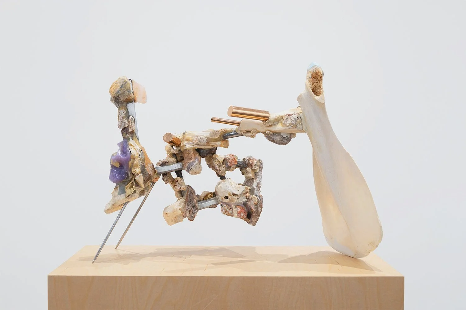 Yasue Maetake’s sculpture Lineal Fetishism II, 2021. Horizontal hybrid form combining assorted animal bones, shells, and metal elements with a large smooth white camel bone structure, displayed on a wooden pedestal.