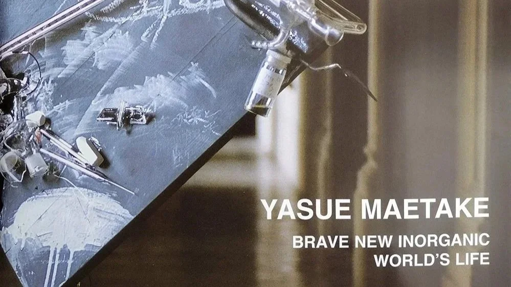 "Brave New Inorganic World’s Life"
Central Library of the Academy of Sciences, Prague, Czech Republic 
Texts by Yasue Maetake 
October 2001  
Selected 10 pages from the 30-page catalogue. ISBN: 80-238-7656-2