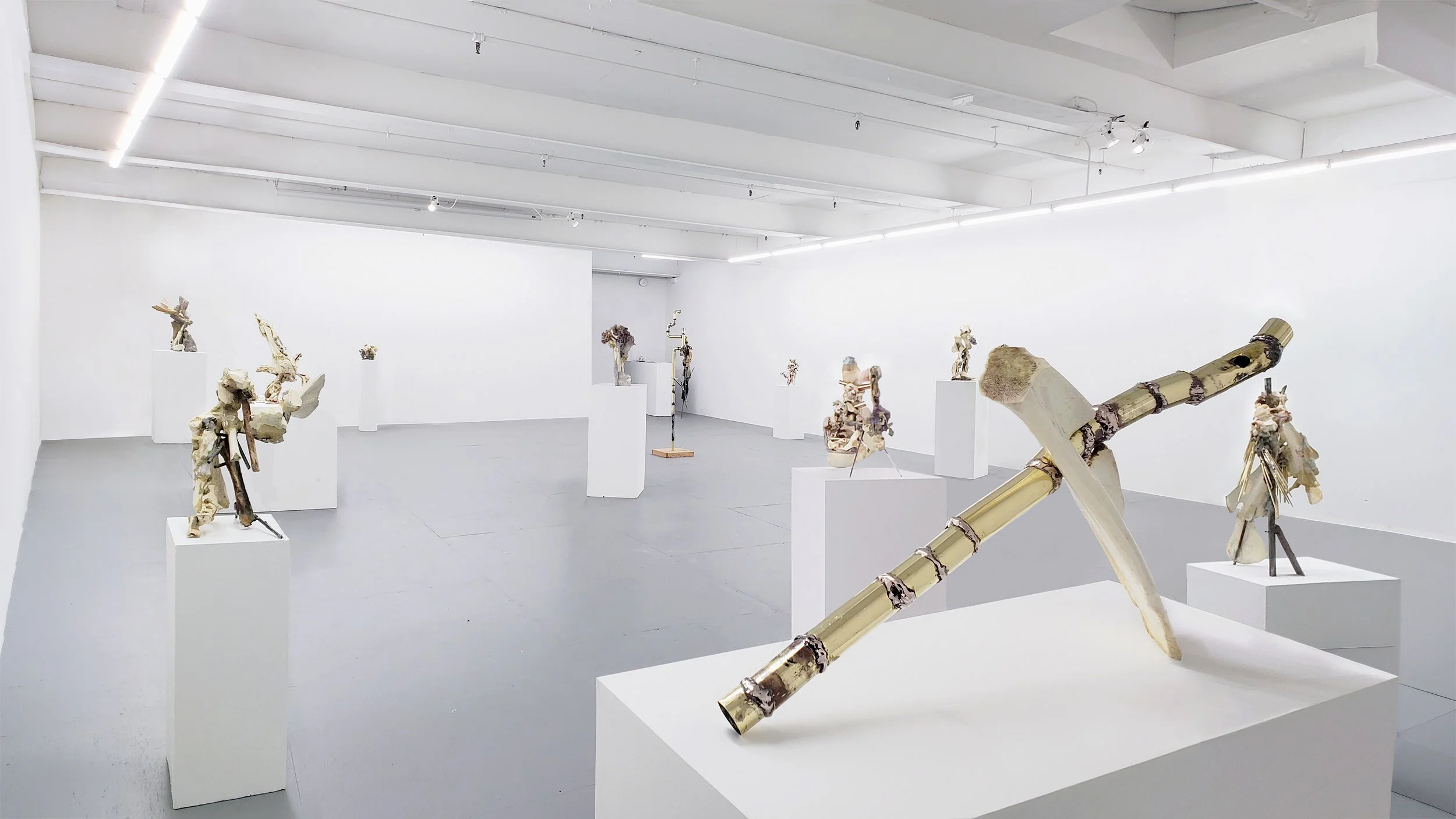 Yasue Maetake Transmutation gallery installation: wide view of non-representational sculptures made of animal bones and metal on white pedestals, with a crossed brass and bone form in the foreground