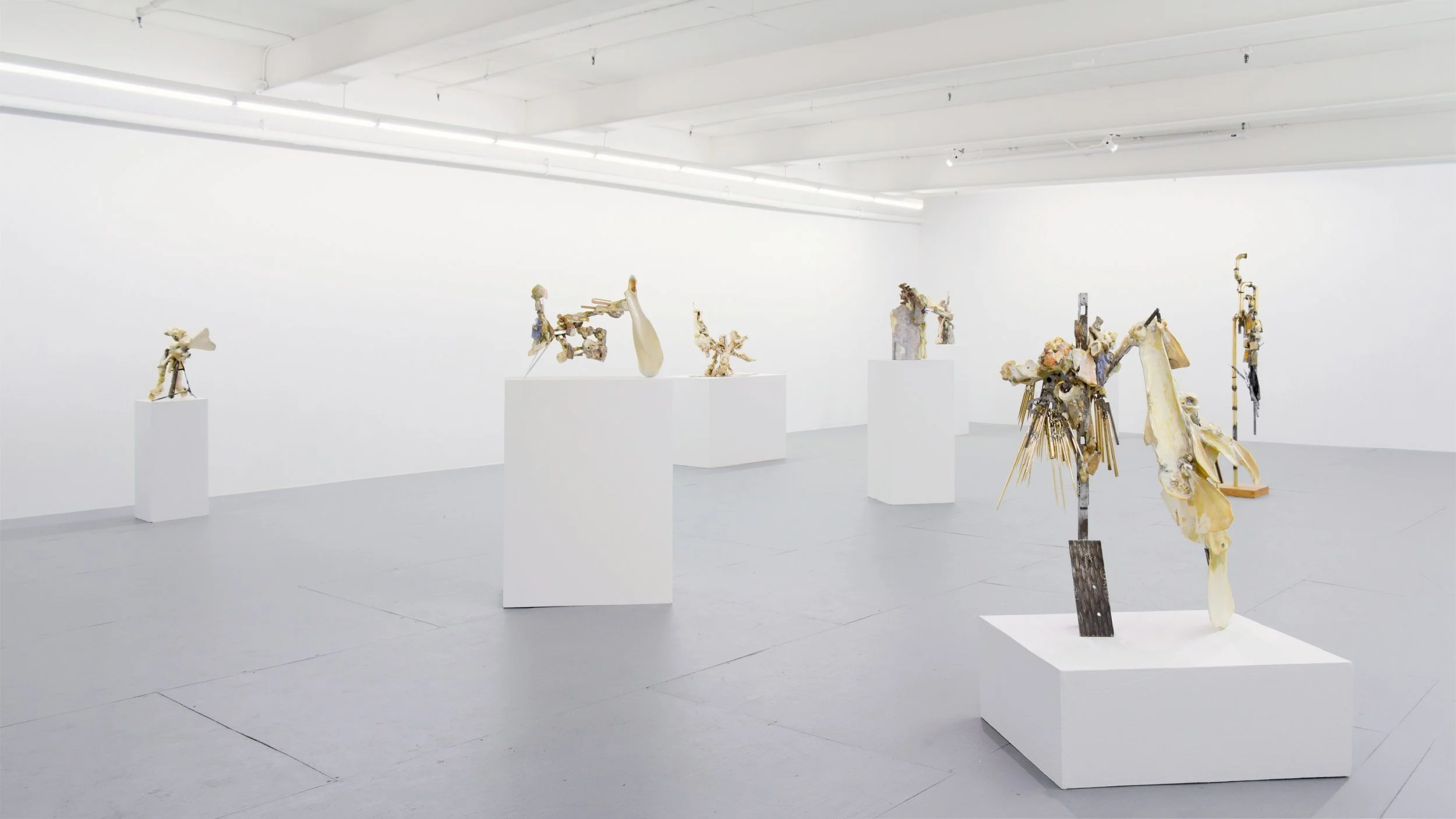 Yasue Maetake Transmutation gallery installation: wide view of non-representational sculptures made of animal bones and metal, arranged on white pedestals in a bright gallery space