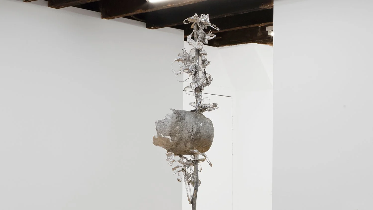 GROUP Exhibition: “I used to be a tree”, Foreign & Domestic, curated by Greg Carideo, New York, May 2 - June 30, 2024