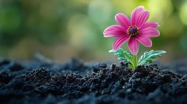 The Gift We Never Ask For: Why Pain Is Essential 