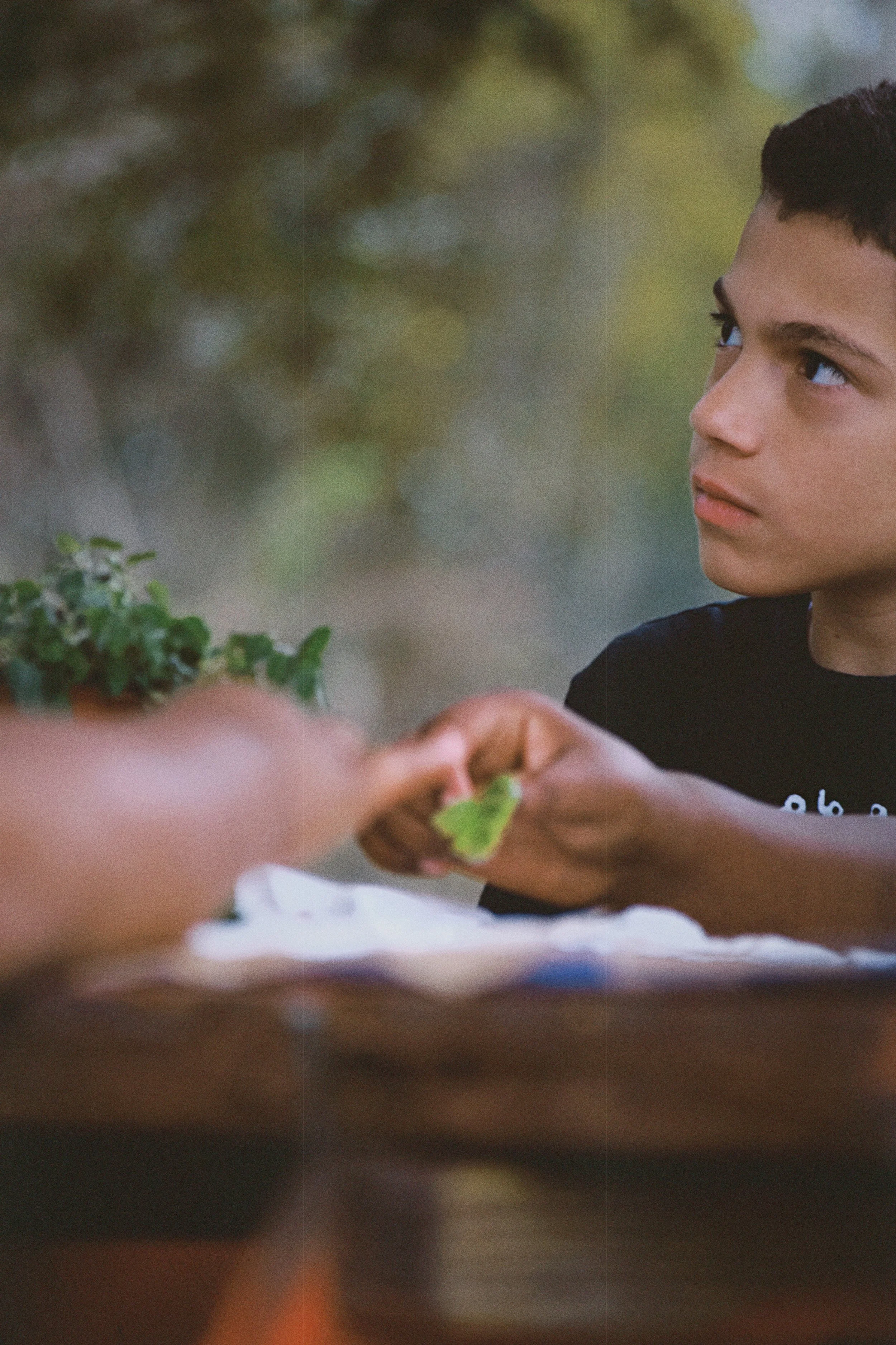 A young boy at Boys & Girls Club in St. Augustine, Florida with curly hair and a black T-shirt sits outdoors, looking thoughtfully at someone handing him a green leaf.