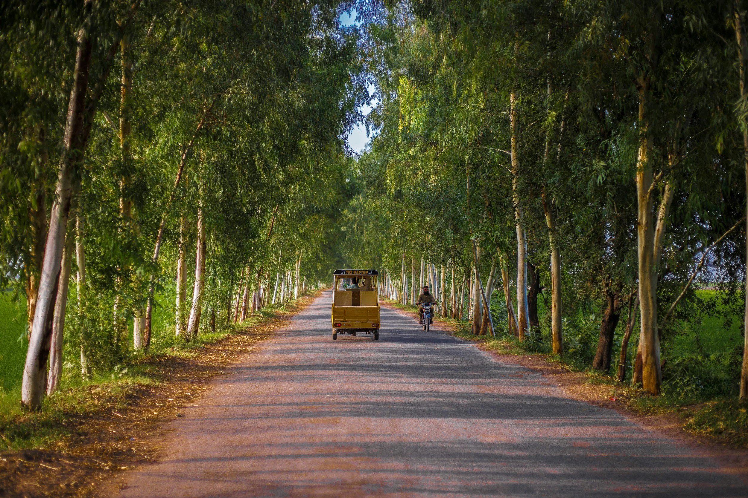 A Proposal for Sustainable Employment in Punjab