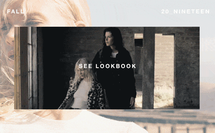 ZS-Bottom-banner-4.gif