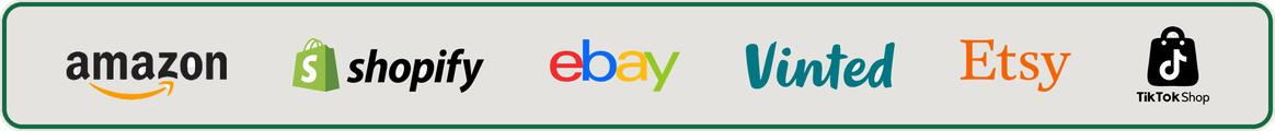 Logos of Amazon, Shopify, eBay, Vinted, Etsy, and TikTok Shop on a light background