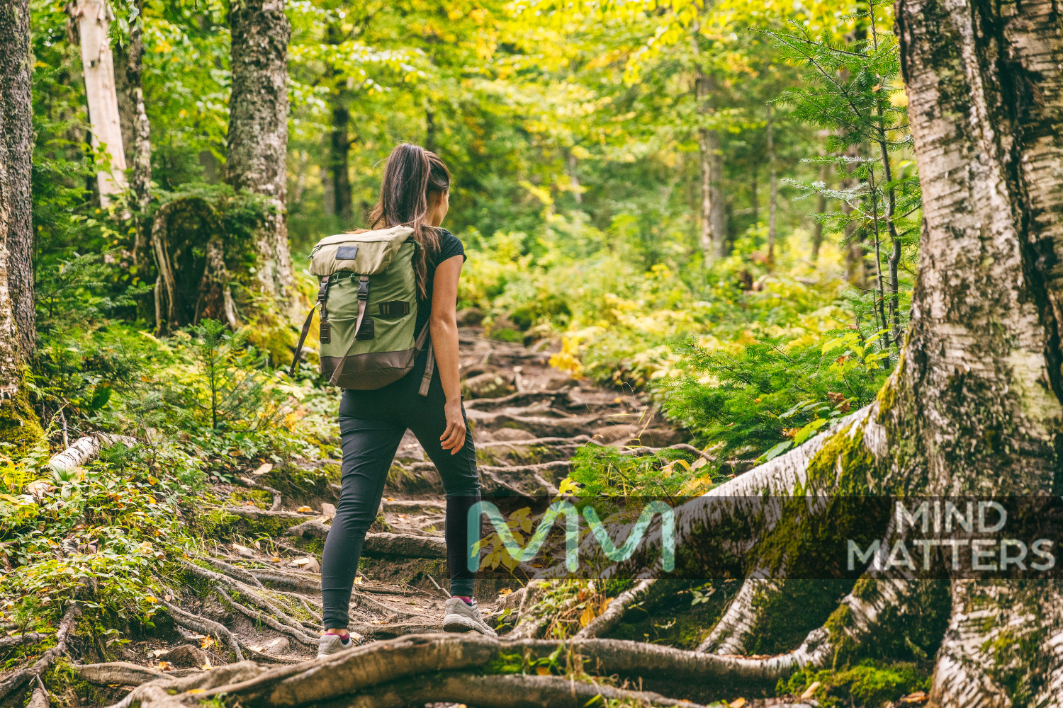 Mental Health and Life Goals: The Uphill and Downhill Journey