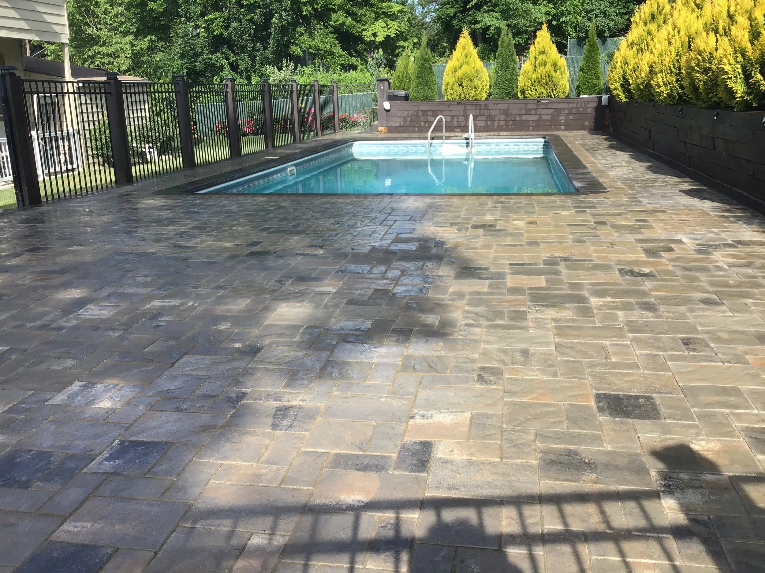 Backyard swimming pool with stone patio, surrounded by a black metal fence, with trees and yellow shrubs in the background.